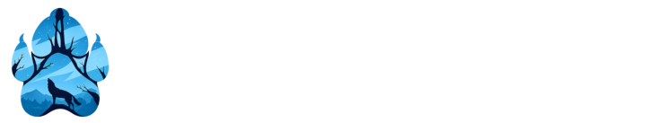 Wilku VPN